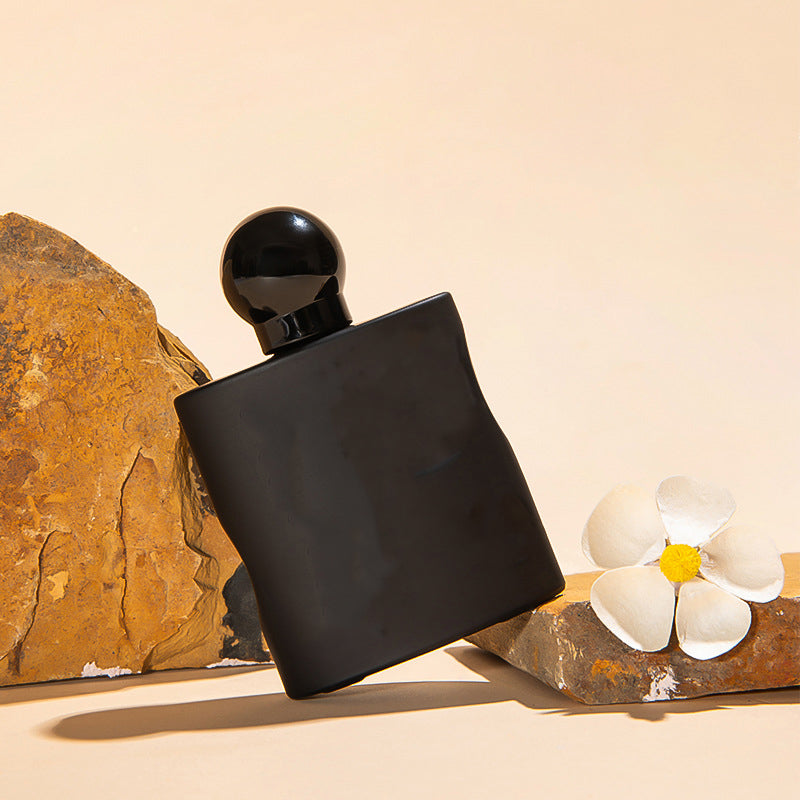 2025 High quality perfume Z-27