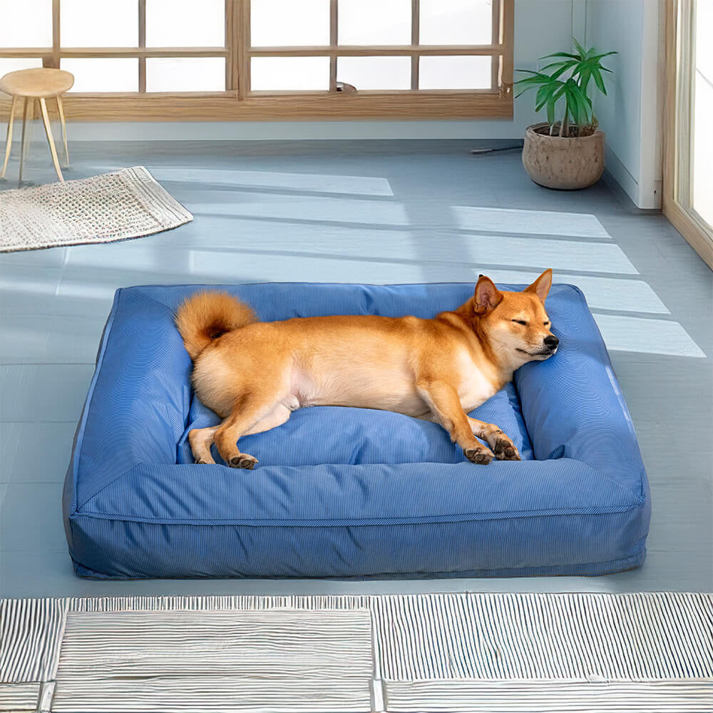 Customized pet supplies mixed order